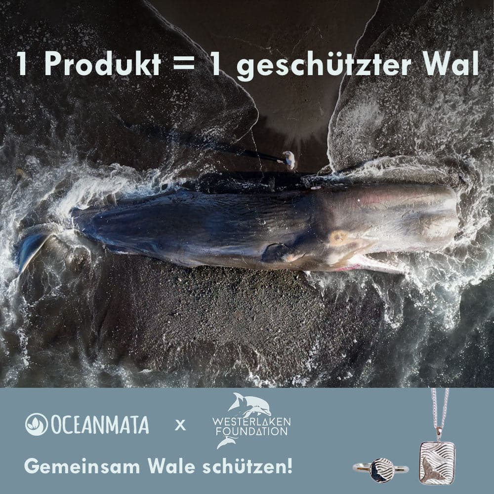 Ring "WHALE" – Ansicht 2