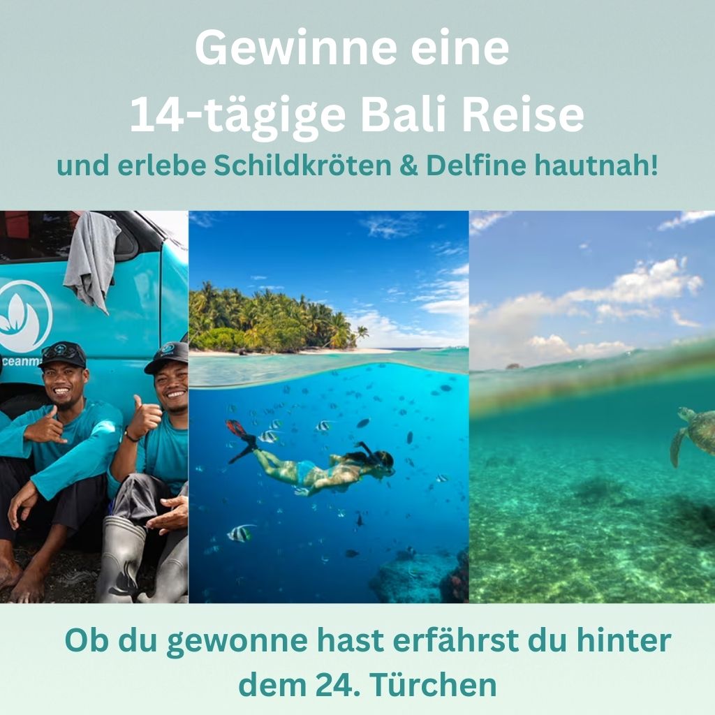 Schmuck Adventskalender - "Schildkrötennest" - Edelstahl/Messing