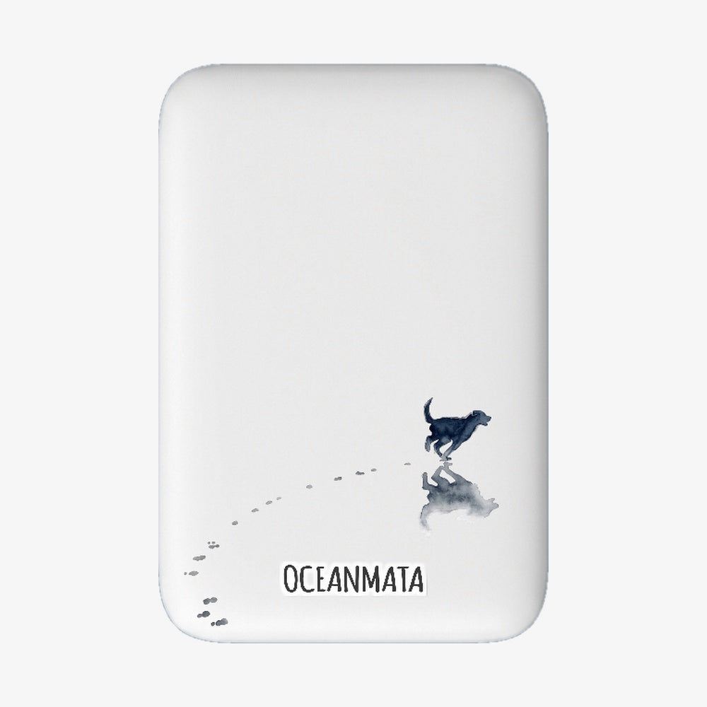 Powerbank MagSafe beachsiderun