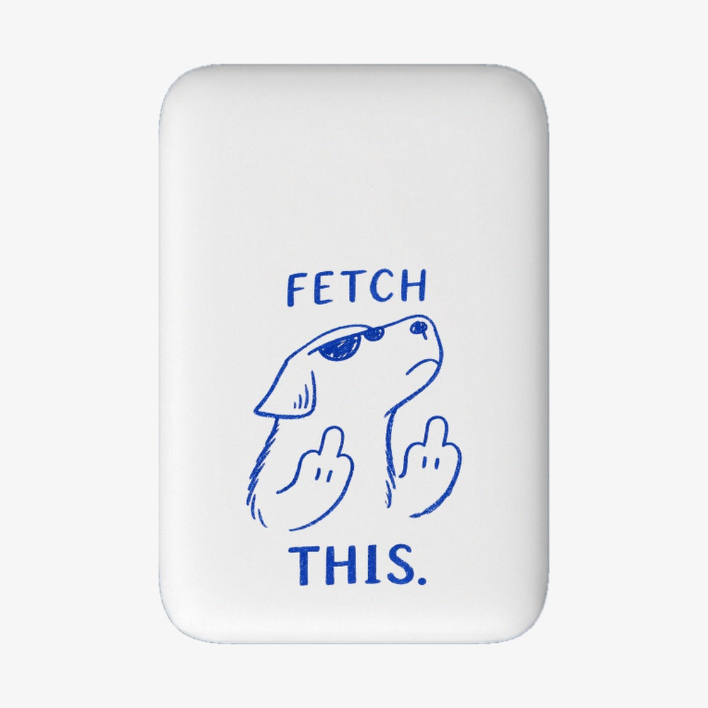 Powerbank MagSafe fetchthis