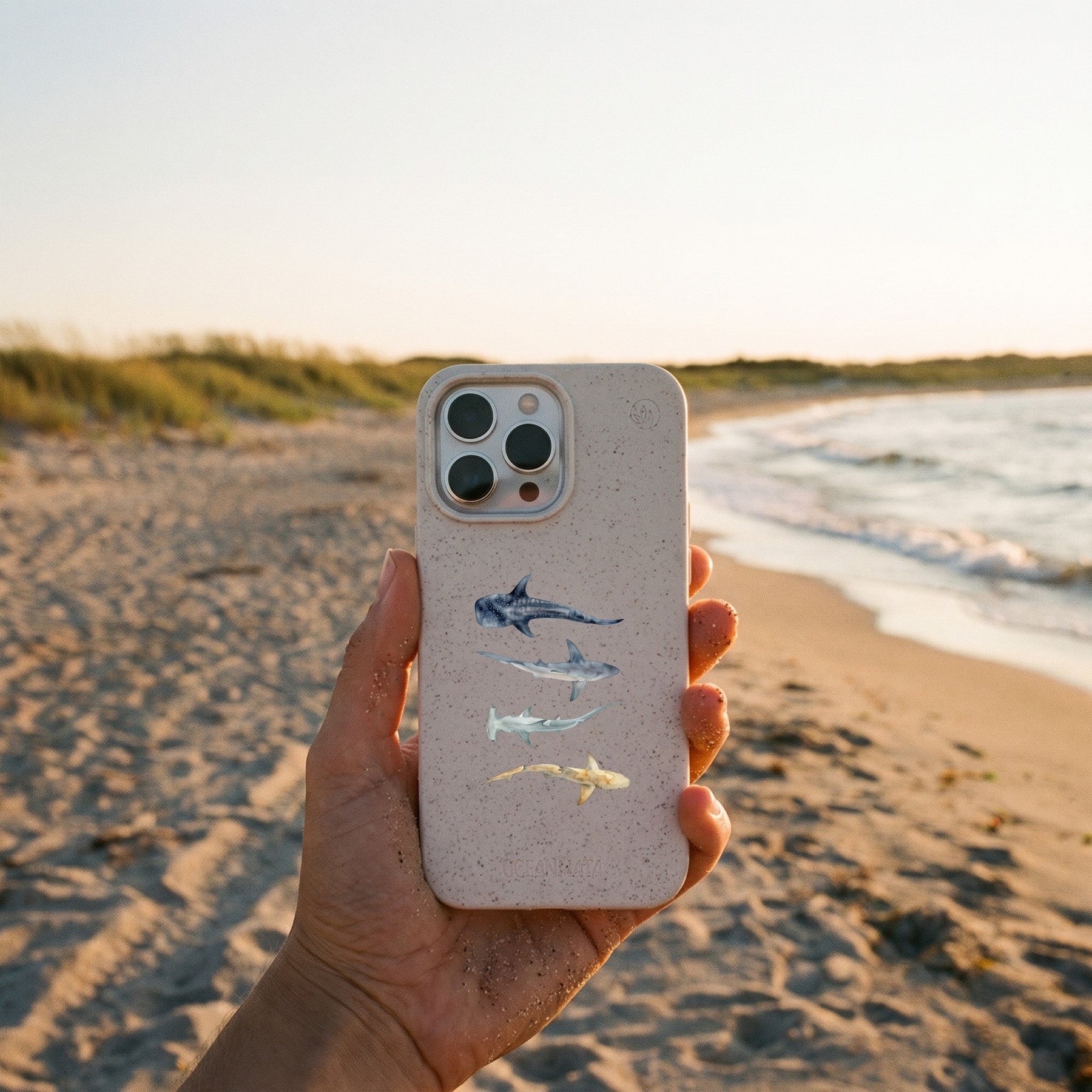 Biologisch abbaubare Handyhülle iPhone 13 pro Sharkproject — kompostierbar — in der Hand