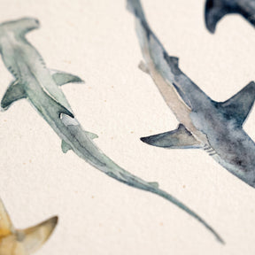 Biologisch abbaubare Handyhülle iPhone 14 pro Sharkproject — kompostierbar — Detailaufnahme Druck